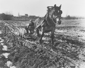Akkerslede
